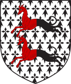 English Family Shield for Penny