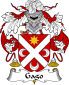 Portuguese Coat of Arms for Gago