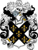 English or Welsh Coat of Arms for Hawkins