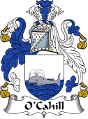 Irish Coat of Arms for O'Cahill