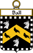 Irish Badge for Ball