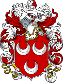 English or Welsh Coat of Arms for Hanlon (Kent)