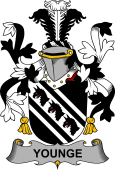 Irish Coat of Arms for Younge