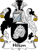 Irish Coat of Arms for Hilton
