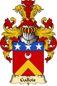 French Family Coat of Arms (v.23) for Gallois