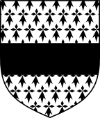 Irish Family Shield for Dardes or Dardis