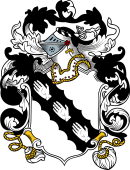 English or Welsh Coat of Arms for Mayne