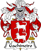 Portuguese Coat of Arms for Gachineiro