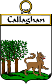 Irish Badge for Callaghan or O'Callaghan
