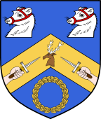 Irish Family Shield for O'Mackey (Dublin)