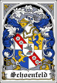 German Wappen Coat of Arms Bookplate for Schoenfeld