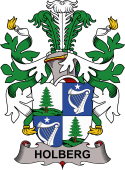 Coat of arms used by the Danish family Holberg