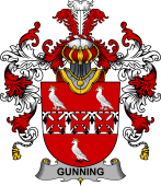 Irish Family Coat of Arms (v.25b) Gunning or O'Gunning