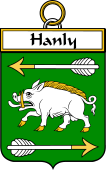 Irish Badge for Hanly or O'Hanly