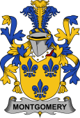 Irish Coat of Arms for Montgomery