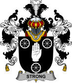 Irish Family Coat of Arms (v.25b) Strong
