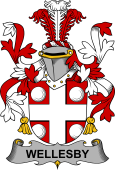 Irish Coat of Arms for Wellesby