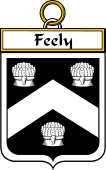 Irish Badge for Feely or O'Feehily