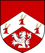 Irish Family Shield for O'Meehan or O'Meighin