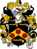 English or Welsh Coat of Arms for Hopkins (Staffordshire)