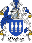 Irish Coat of Arms for O'Gahan or Gahon
