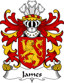 Welsh Coat of Arms for James (AP RHYS AP MAREDUDD)