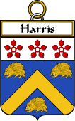 Irish Badge for Harris