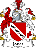 Irish Coat of Arms for Janes or Janns