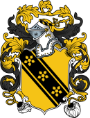 English or Welsh Coat of Arms for Sayer