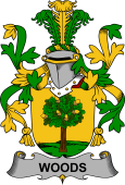 Irish Coat of Arms for Woods