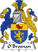 Irish Coat of Arms for O'Brosnan
