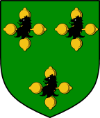 English Family Shield for Plott