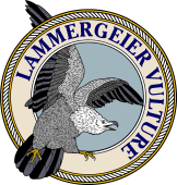 Birds of Prey Clipart image: Lammergeier Vulture-M