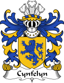 Welsh Coat of Arms for Cynfelyn (AP DOLFFIN)