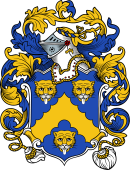 English or Welsh Coat of Arms for Hugh (Ref Berry)