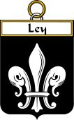 Irish Badge for Ley