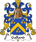 Coat of Arms from France for Galland