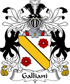 Italian Coat of Arms for Galliani
