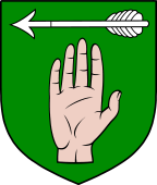 Irish Family Shield for O'Loughnan or Loughnane
