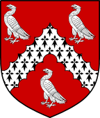 English Family Shield for Child