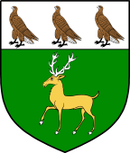 Irish Family Shield for Edwards (Wicklow)