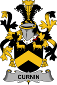 Irish Coat of Arms for Curnin or O'Curneen