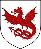 English Family Shield for Drake