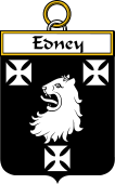 Irish Badge for Edney