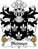 Welsh Coat of Arms for Bleddyn (AP BLEDRUS)