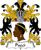Italian Coat of Arms for Pucci