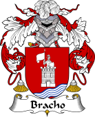 Spanish Coat of Arms for Bracho