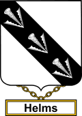 English Coat of Arms Shield Badge for Helms or Helme