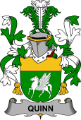Irish Coat of Arms for Quinn or O'Quin