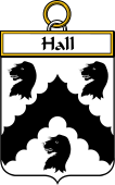 Irish Badge for Hall or MacHall